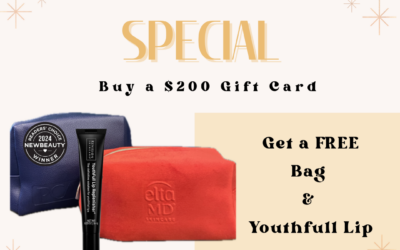 Read more about the article Accent Aesthetics Holiday Gift Guide: Give the Gift of Radiance
